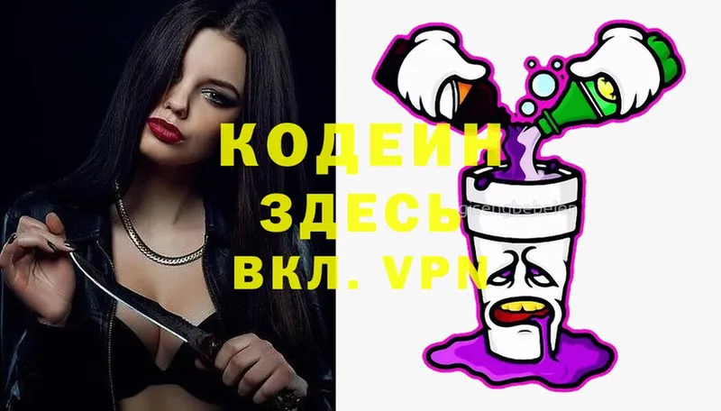 где можно купить   Елизово  Кодеиновый сироп Lean Purple Drank 