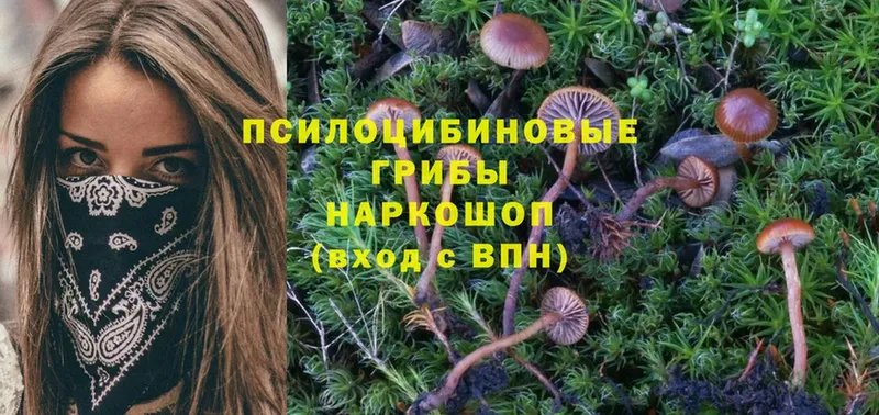 Галлюциногенные грибы MAGIC MUSHROOMS  Елизово 